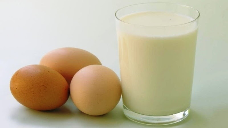trứng và sữa thực phẩm tốt cho dạ dày
