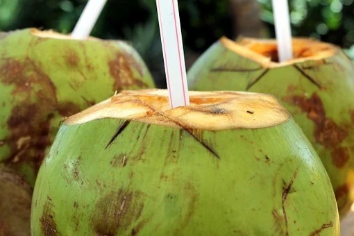 Uống nước dừa có giảm cân không