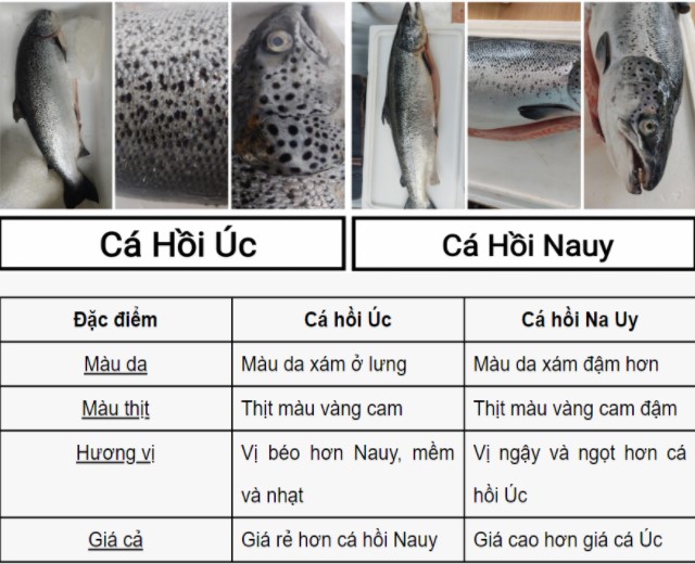 Cách phân biệt cá hồi Nauy với cá hồi Úc